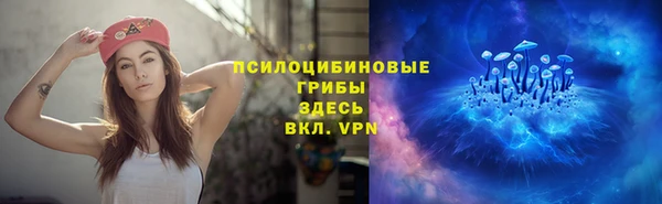 бошки Снежинск