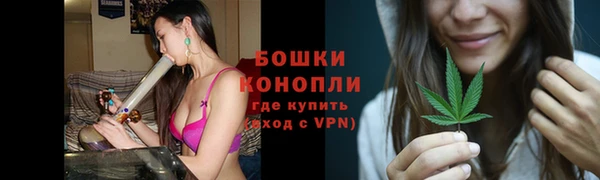 бошки Снежинск