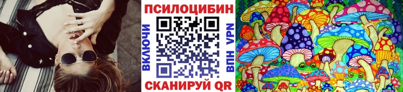 Псилоцибиновые грибы Psilocybine cubensis  Кодинск 